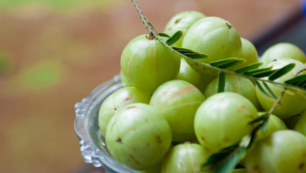 Amla