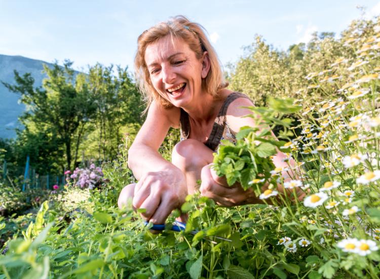 Herbal Gardening