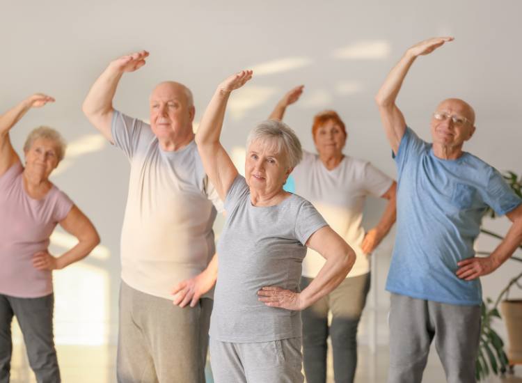 Understanding Yoga and Its Benefits for the 50+ Age Group