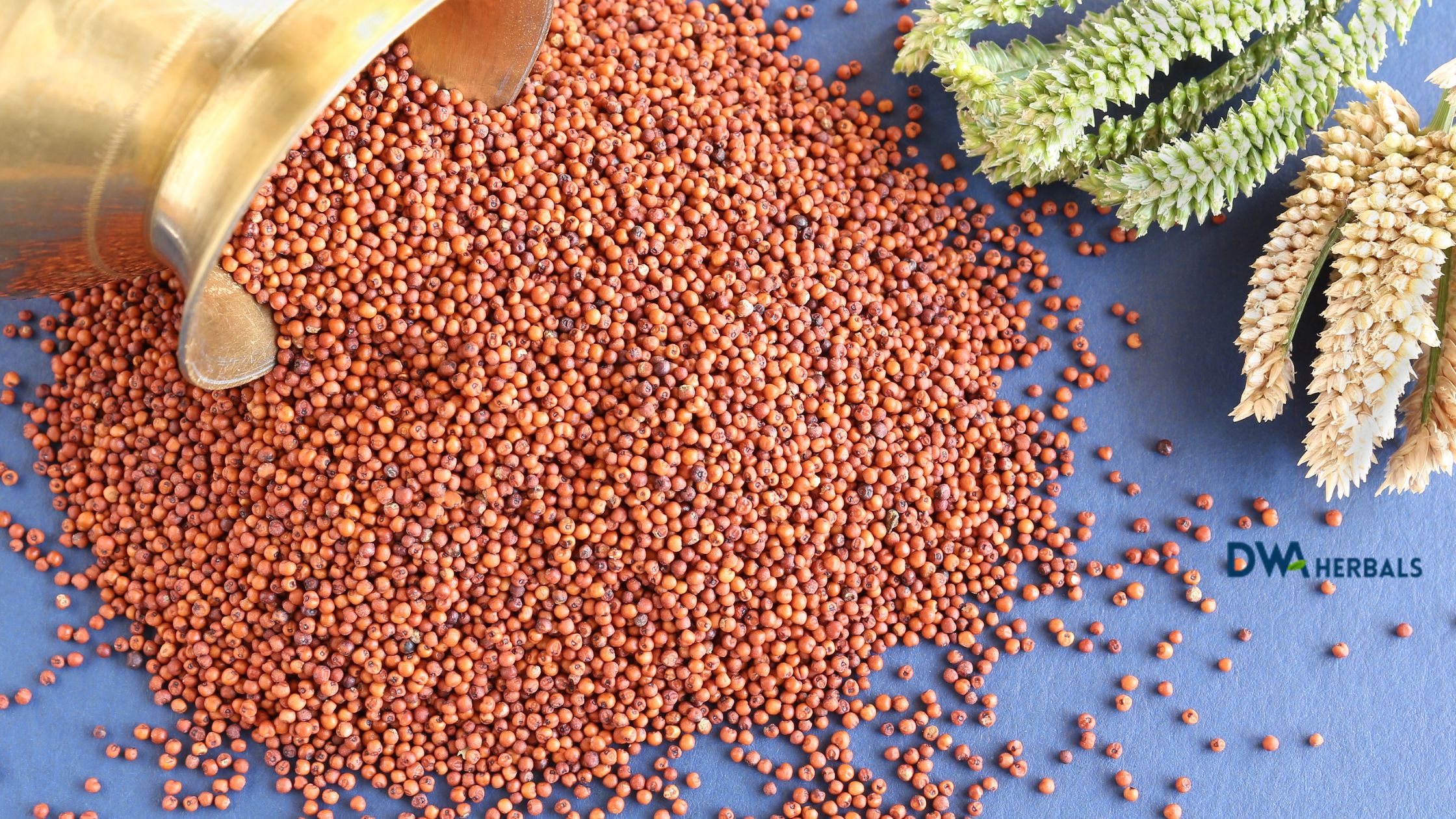 The Importance of Millets: Small Grains with Big Benefits - D WA Herbals