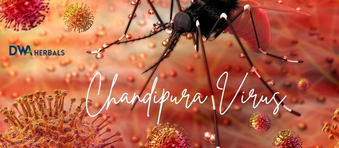 Chandipura Virus