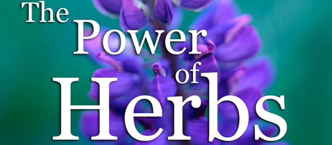 lk-articles-power-of-herbs